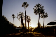 Sesfontein