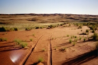 Spuren im Sand