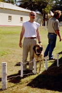 Ronald und Bully