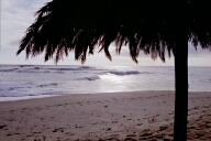 Tiger Reef Bar