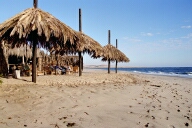 Tiger Reef Bar