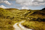 Besuch bei Maria, Diopthasmine Marius Steiner