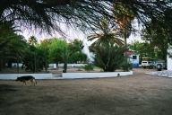 Naomis Palmgarden