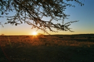 Sonnenuntergang auf Tsondab