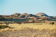 Landschaft