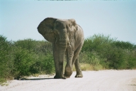 Etosha
