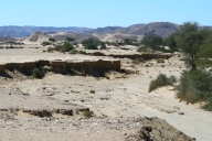 Amspoort